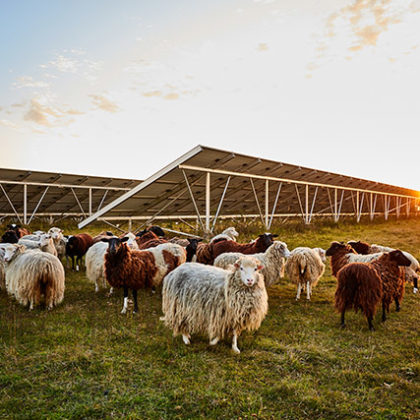 HEP - Solar Portfolio 2 GmbH & Co. geschlossene Investment KG