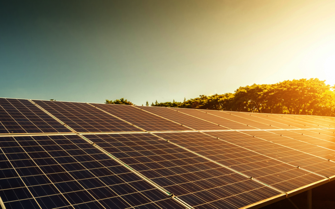 hep AIF buys second solar pro­ject in&nbsp;Japan